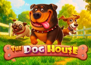 สล็อต pg ฝากถอนออโต้ เว็บตรง The Dog House ทดลองเล่นฟรี